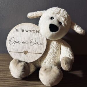 Zwangerschapsaankondiging